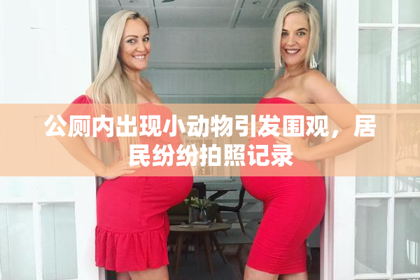 公厕内出现小动物引发围观，居民纷纷拍照记录