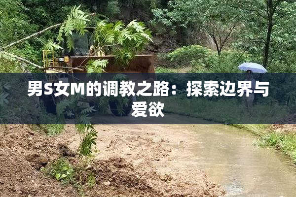 男S女M的调教之路：探索边界与爱欲