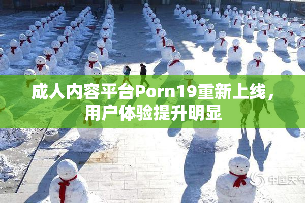 成人内容平台Porn19重新上线，用户体验提升明显