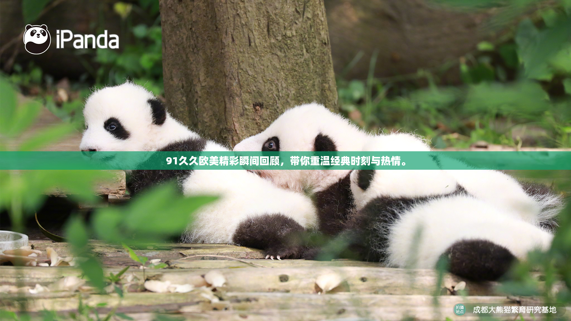 91久久欧美精彩瞬间回顾，带你重温经典时刻与热情。