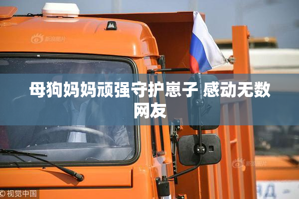 母狗妈妈顽强守护崽子 感动无数网友