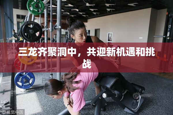 三龙齐聚洞中，共迎新机遇和挑战