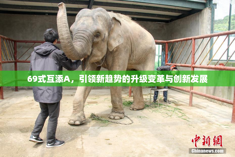 69式互添A，引领新趋势的升级变革与创新发展