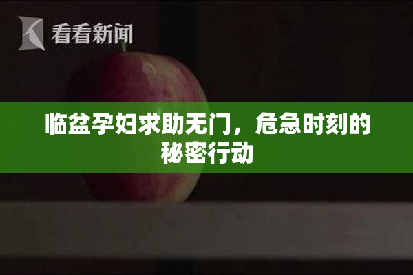 临盆孕妇求助无门，危急时刻的秘密行动