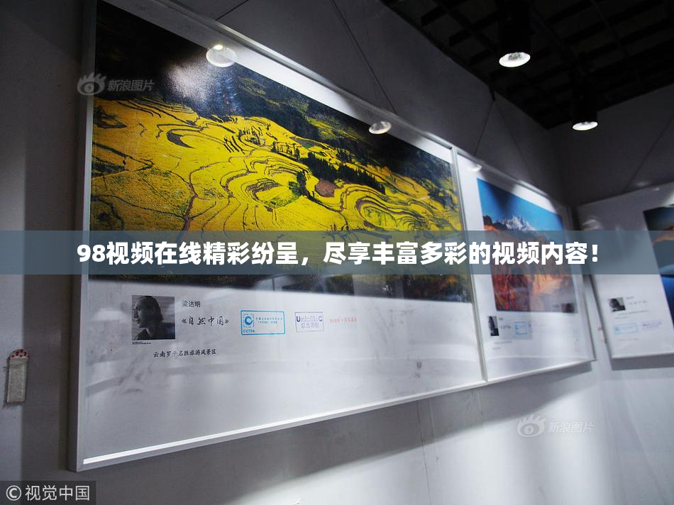 98视频在线精彩纷呈，尽享丰富多彩的视频内容！