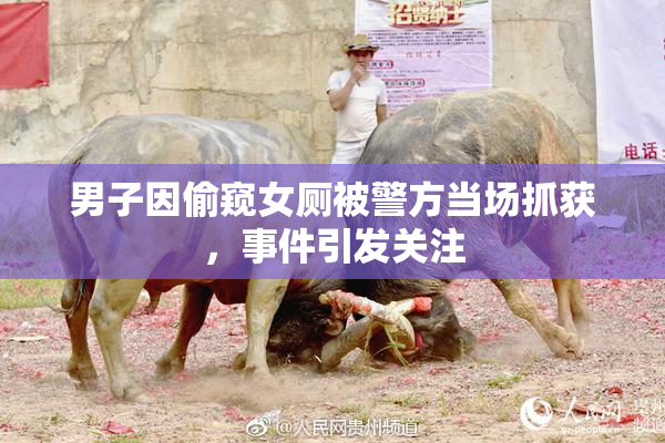 男子因偷窥女厕被警方当场抓获，事件引发关注