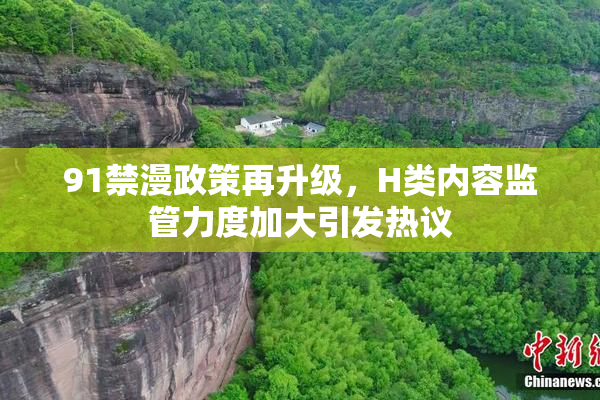 91禁漫政策再升级，H类内容监管力度加大引发热议