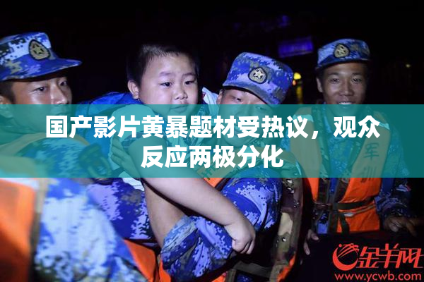 国产影片黄暴题材受热议，观众反应两极分化