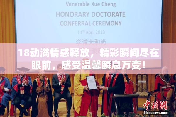 18动满情感释放，精彩瞬间尽在眼前，感受温馨瞬息万变！