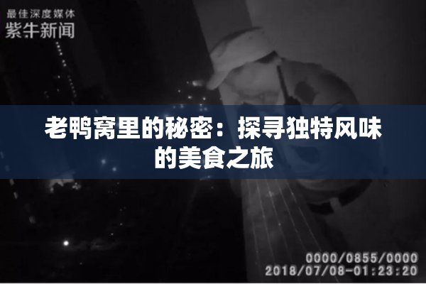 老鸭窝里的秘密：探寻独特风味的美食之旅