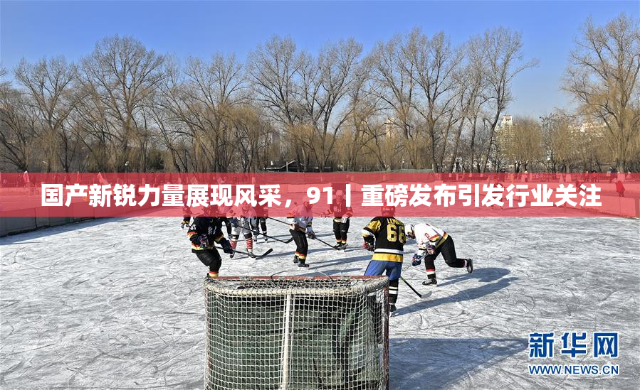 国产新锐力量展现风采，91丨重磅发布引发行业关注