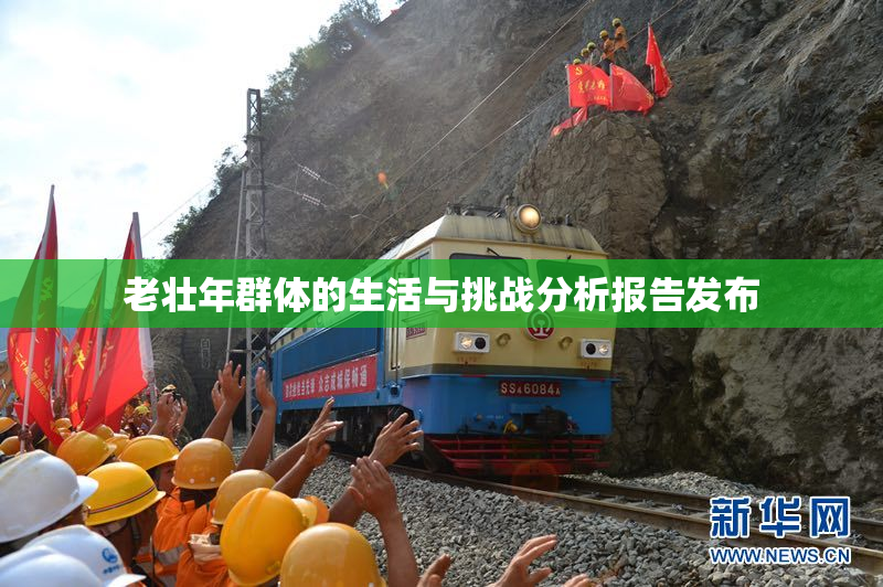 老壮年群体的生活与挑战分析报告发布