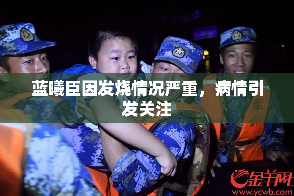 蓝曦臣因发烧情况严重，病情引发关注