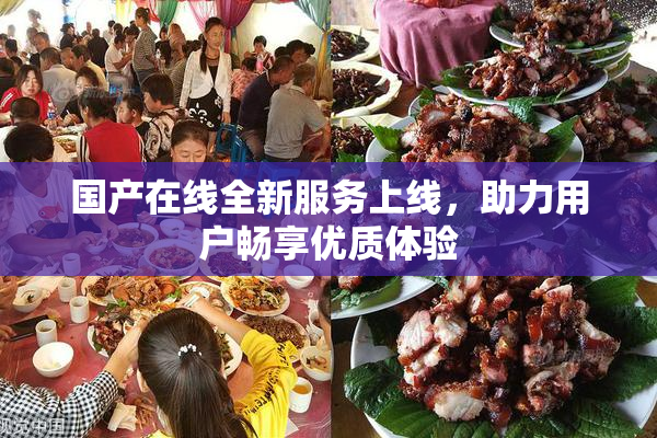 国产在线全新服务上线，助力用户畅享优质体验