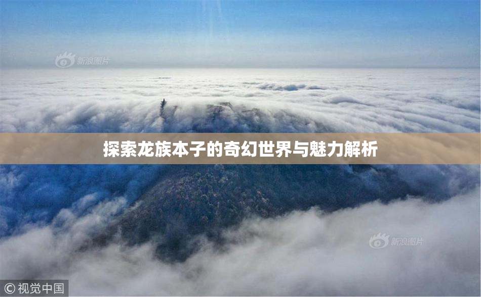 探索龙族本子的奇幻世界与魅力解析