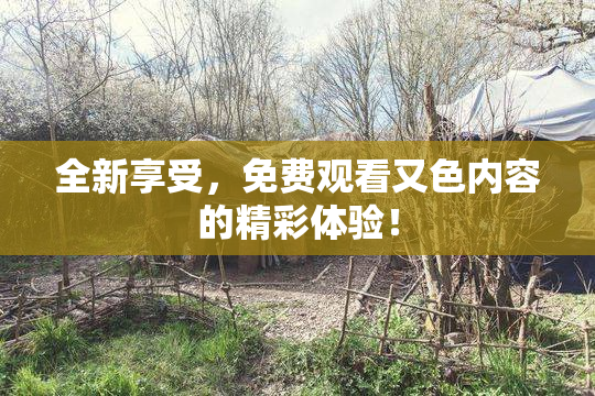 全新享受，免费观看又色内容的精彩体验！