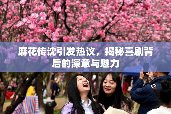 麻花传沈引发热议，揭秘喜剧背后的深意与魅力