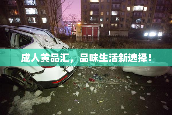 成人黄品汇，品味生活新选择！