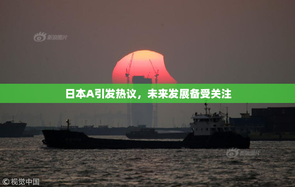 日本A引发热议，未来发展备受关注