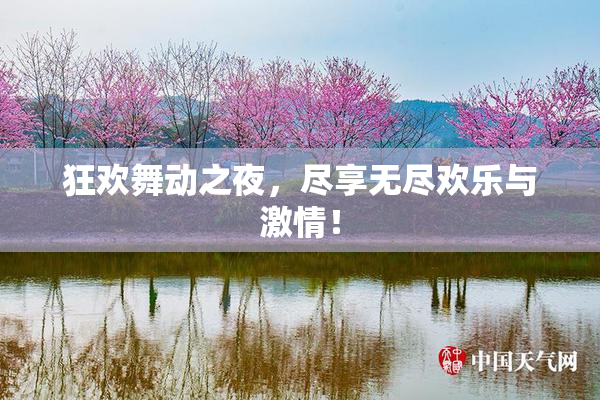 狂欢舞动之夜，尽享无尽欢乐与激情！