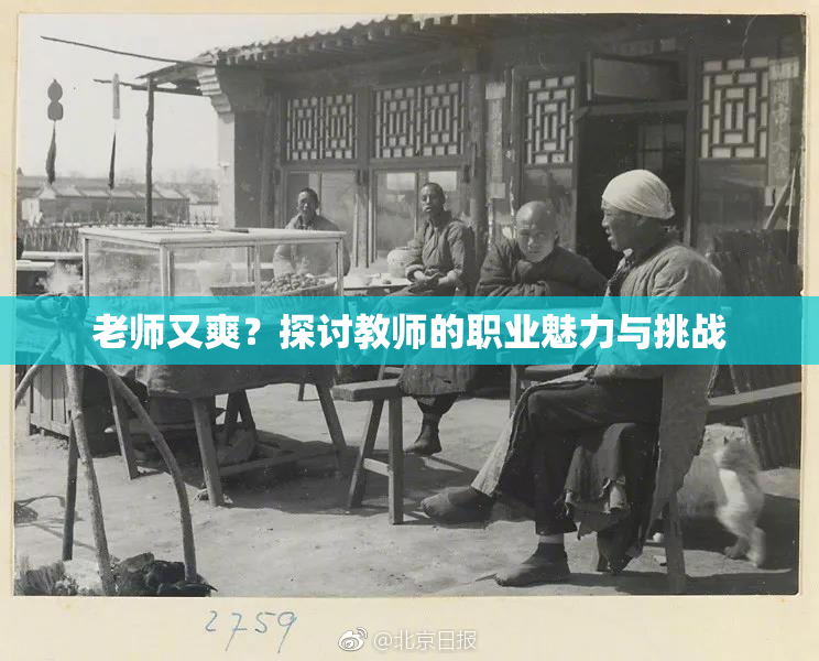 老师又爽？探讨教师的职业魅力与挑战