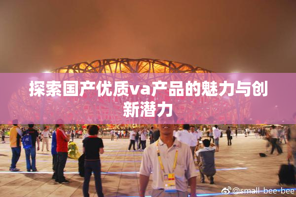 探索国产优质va产品的魅力与创新潜力