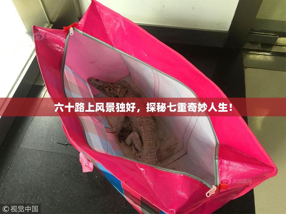 六十路上风景独好，探秘七重奇妙人生！