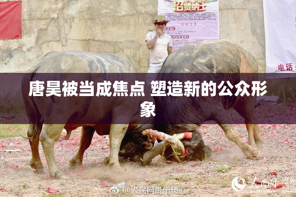 唐昊被当成焦点 塑造新的公众形象