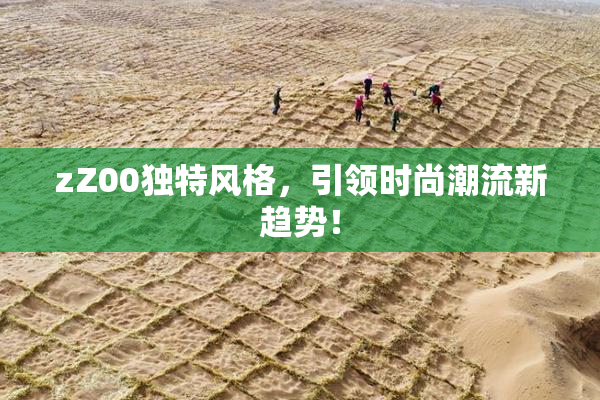 zZ00独特风格，引领时尚潮流新趋势！
