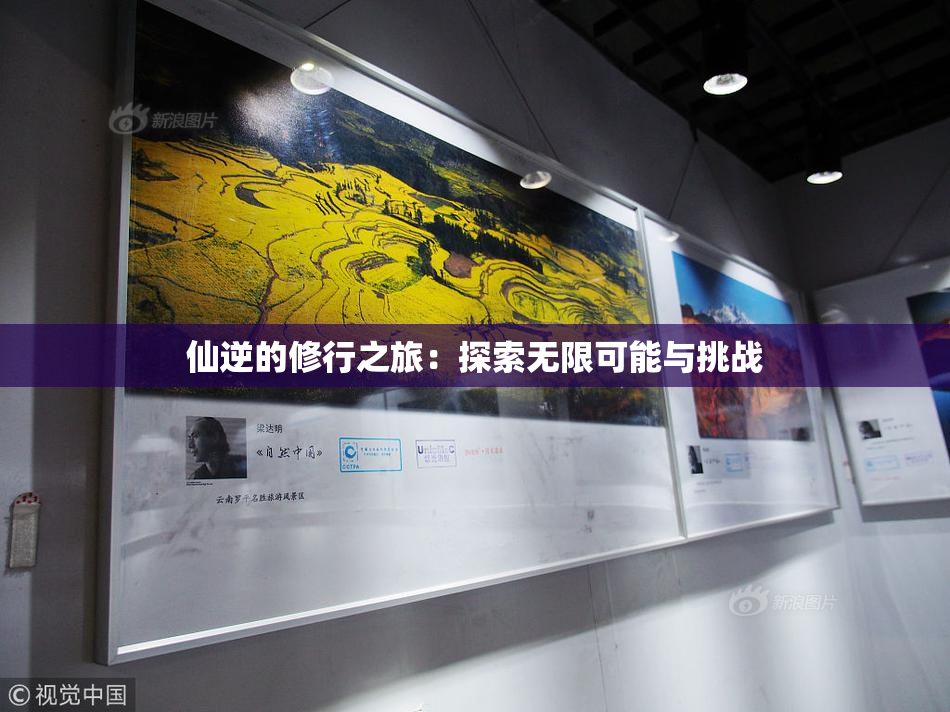 仙逆的修行之旅：探索无限可能与挑战