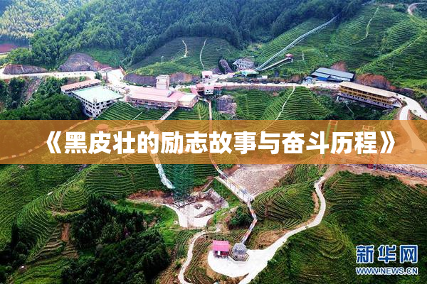 《黑皮壮的励志故事与奋斗历程》