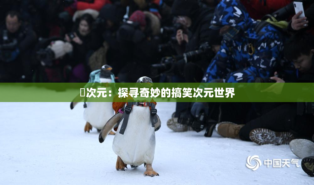 囧次元：探寻奇妙的搞笑次元世界
