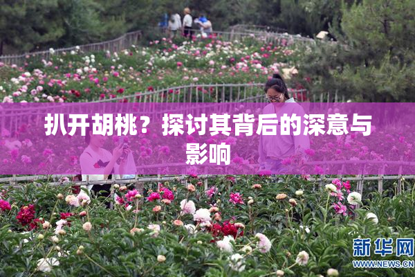 扒开胡桃？探讨其背后的深意与影响