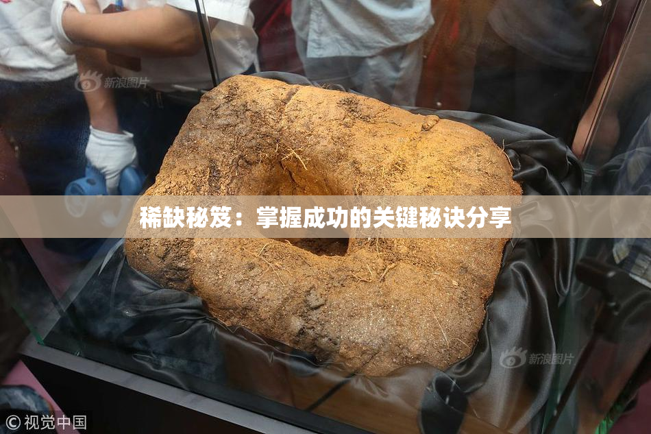 稀缺秘笈：掌握成功的关键秘诀分享