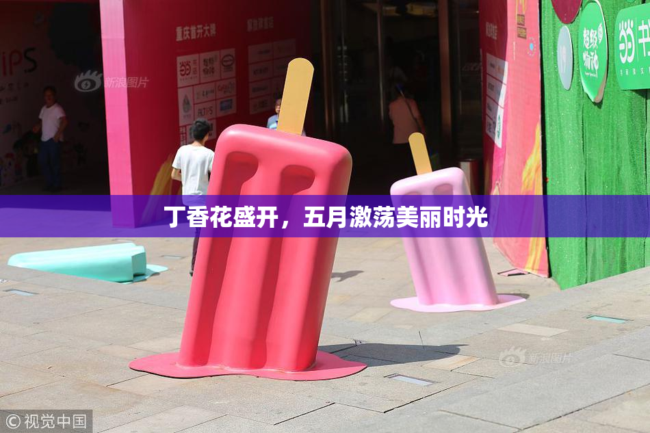 丁香花盛开，五月激荡美丽时光
