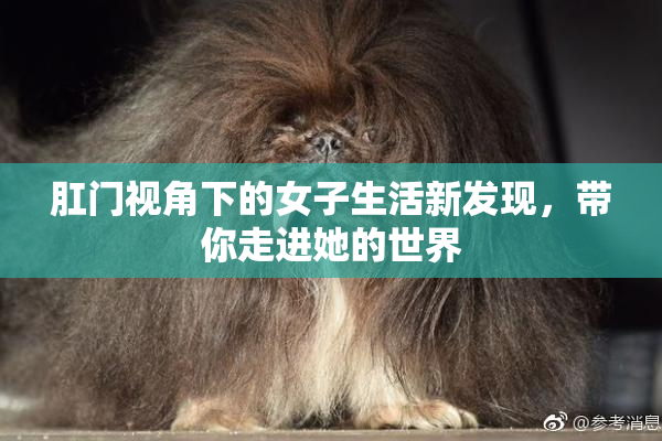 肛门视角下的女子生活新发现，带你走进她的世界