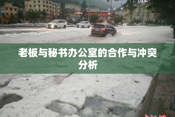 老板与秘书办公室的合作与冲突分析