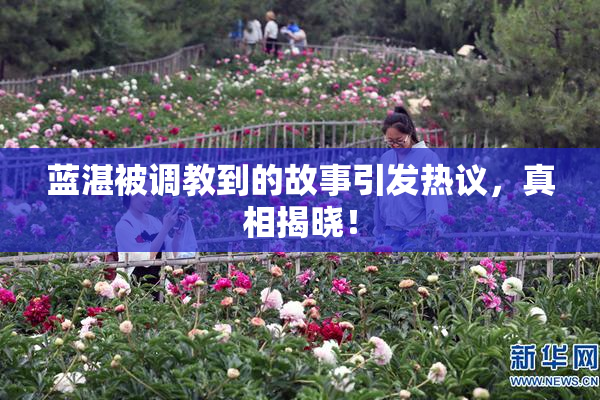 蓝湛被调教到的故事引发热议，真相揭晓！