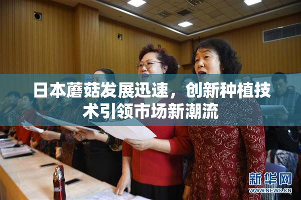 日本蘑菇发展迅速，创新种植技术引领市场新潮流