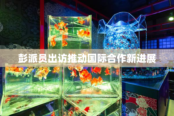彭派员出访推动国际合作新进展