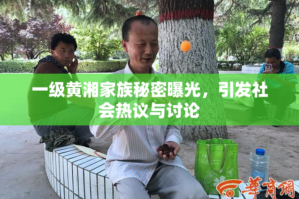 一级黄湘家族秘密曝光，引发社会热议与讨论