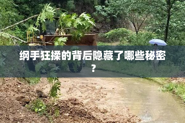 纲手狂揉的背后隐藏了哪些秘密？