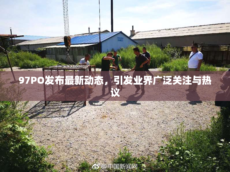 97PO发布最新动态，引发业界广泛关注与热议