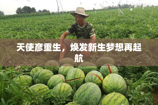 天使彦重生，焕发新生梦想再起航
