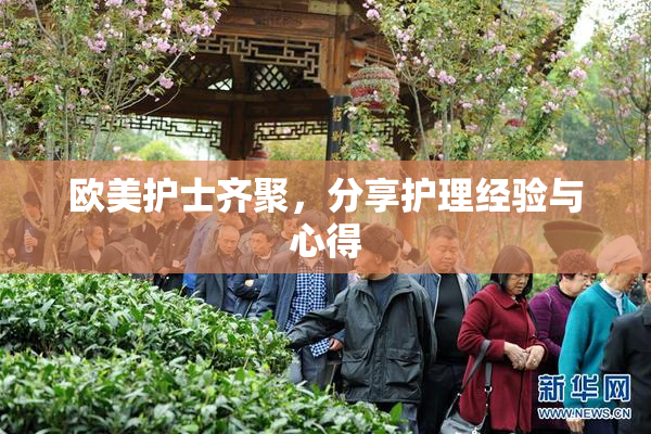 欧美护士齐聚，分享护理经验与心得