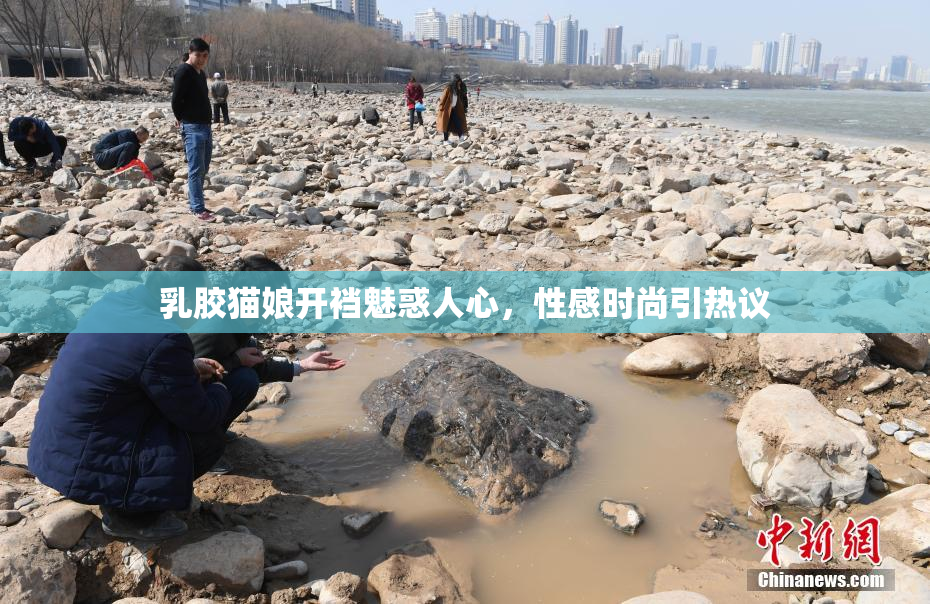 乳胶猫娘开裆魅惑人心，性感时尚引热议