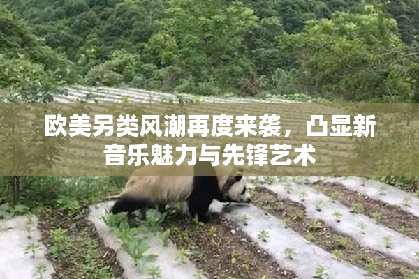 欧美另类风潮再度来袭，凸显新音乐魅力与先锋艺术