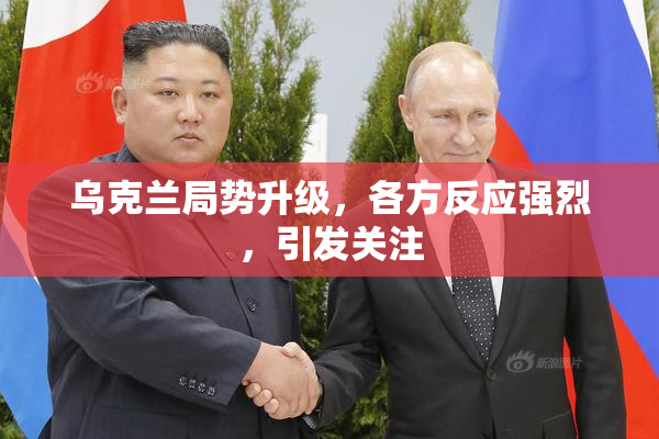 乌克兰局势升级，各方反应强烈，引发关注