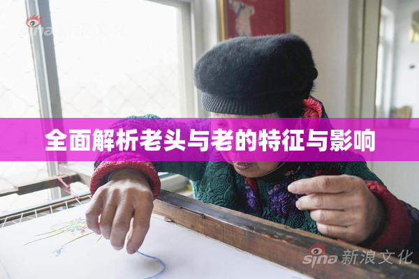 全面解析老头与老的特征与影响