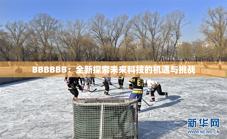 BBBBBB：全新探索未来科技的机遇与挑战